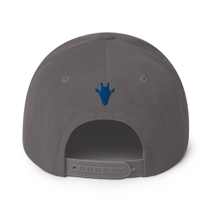 Bluraffe Snapback Hat Gray back